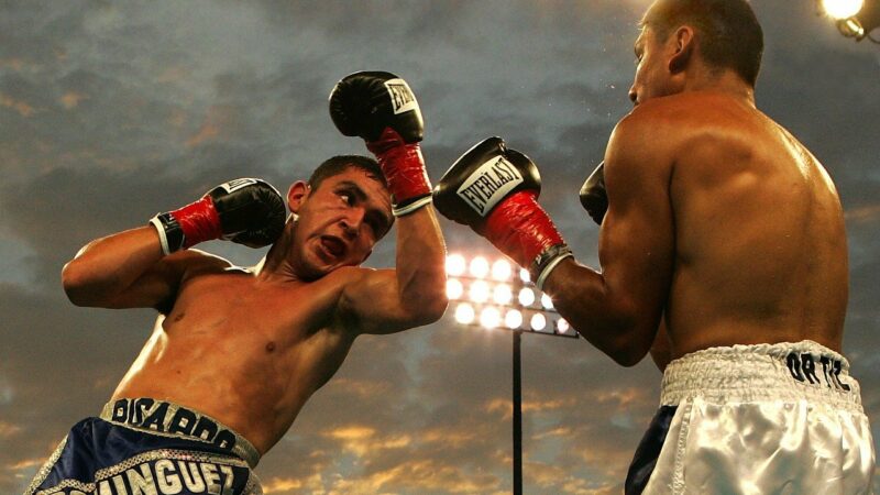 Gra bokserska Boxing School pod lupą – recenzja